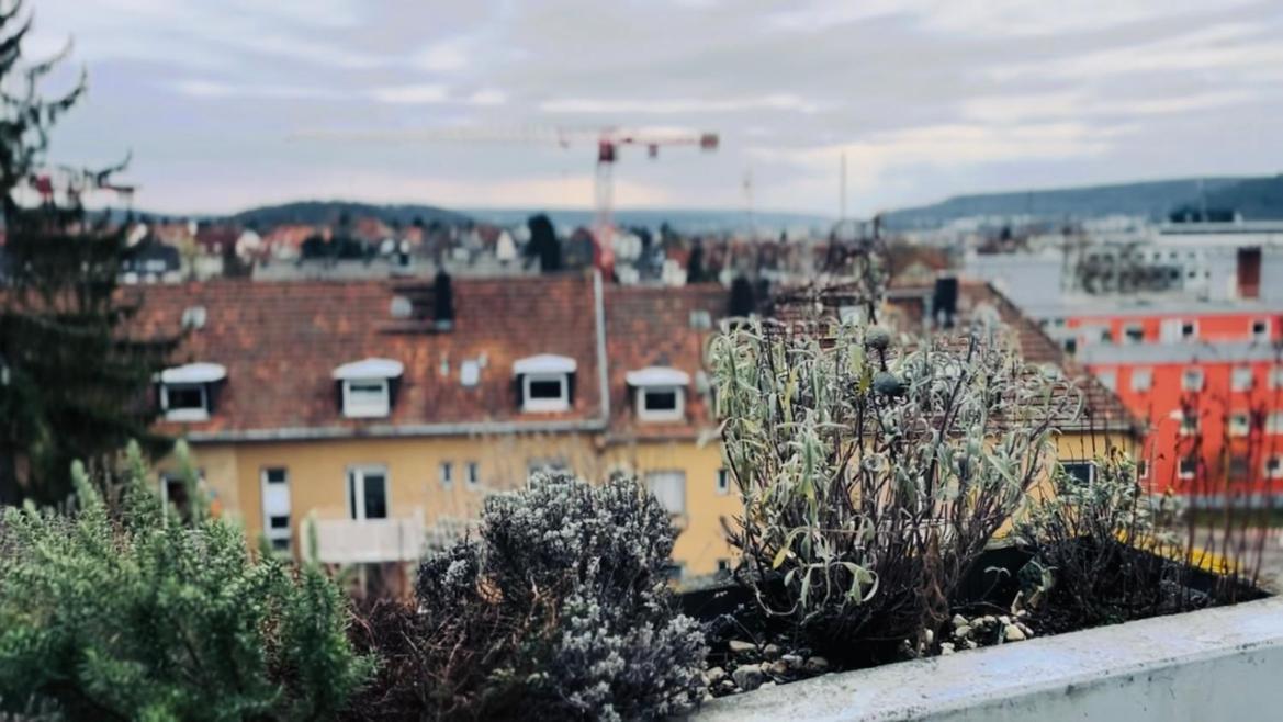Bluehendes Balkonwohnung Mit Traumaussicht Saarbruecken